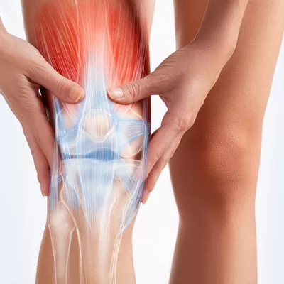 pain in the leg