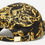 Miniatyrbild: VERSACE JEANS COUTURE Printed Canvas Garland Baseball Cap (RARE & COLLECTABLE)