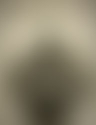 14 de Agosto – São Maximiliano Maria Kolbe