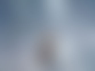 “Esses seres malignos, que estão produzindo vírus e vacinas tóxicos, estão realizando esse ataque aos seres humanos para que possam matar pessoas e reduzir a população.”