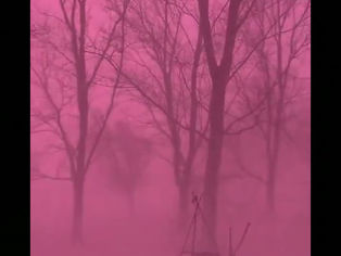 “... HAVERÁ TAMBÉM COISAS ESPANTOSAS” (Lc 21, 11) O que dizer de uma nevasca cor-de-rosa?