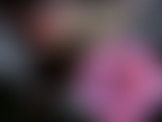 HAVERÁ PESTES (Mt 24, 7) – Surto de vírus mortal, para o qual não há vacina nem tratamento eficaz, foi identificado na Índia. 