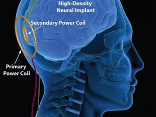 MARCA DA BESTA - Visando também o CONTROLE TOTAL DA MENTE.