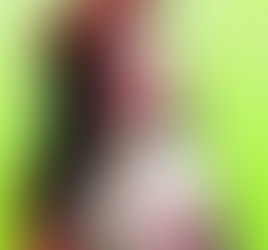 23 de Agosto – Santa Rosa de Lima