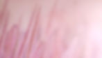 20230418_114457_edited_edited.jpg
