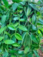 154024536663130131.webp