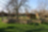 IMG_2752-X4.jpg