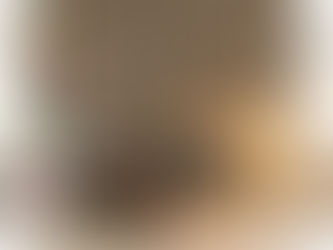 A visually split, photorealistic image of a modern home office desk bathed in soft natural light, illustrating the contrast between entrepreneurial overwhelm and 'CEO clarity.' The left side (Chaos) is cluttered with a chaotic stack of papers, brightly colored sticky notes, a crumpled napkin, and a dirty, half-empty coffee mug, symbolizing being 'in the weeds.' The right side (Clarity) is starkly minimal and organized, featuring a closed silver laptop on a clear stand, a neat open planner with a pen, a small green succulent in a white pot, and a warm, focused LED desk lamp, evoking a feeling of calm, control, and empowering focus. The overall aesthetic is cozy yet modern, using soft neutral tones to highlight the shift from disorder to organized success.