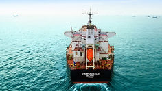 MM White Logo Background.png