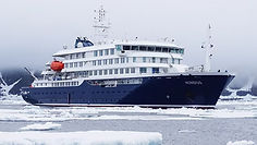 MM White Logo Background.png