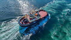 MM White Logo Background.png