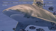 MM White Logo Background.png