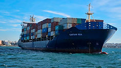 MM White Logo Background.png