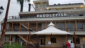 Paddle Fish - Paddle Away From It.