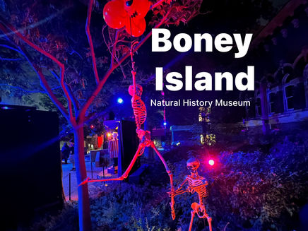 Natural History Museum in Exposition Park Hosts Boney Island Halloween