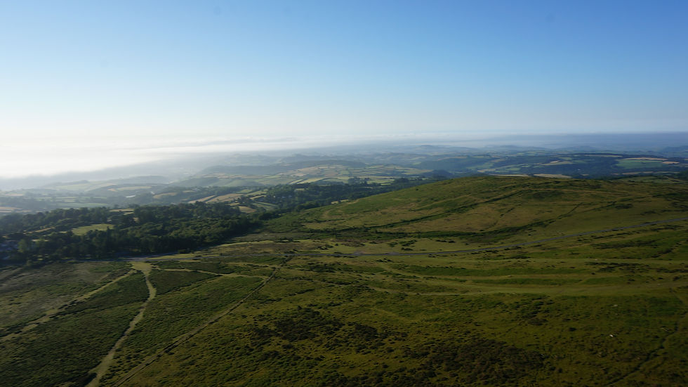 LANDSCAPE, DARTMOOR
