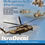 Thumbnail: IAF Helicoperts in 21st Century 1:48 cover