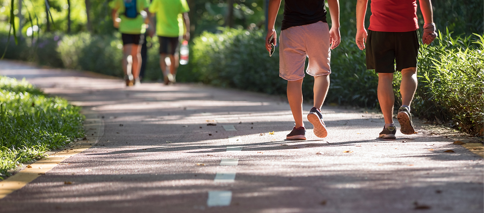 Pedestrian Path_edited.png