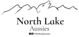 Black Logo Transparent.png