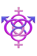 The Playgrounds Logo