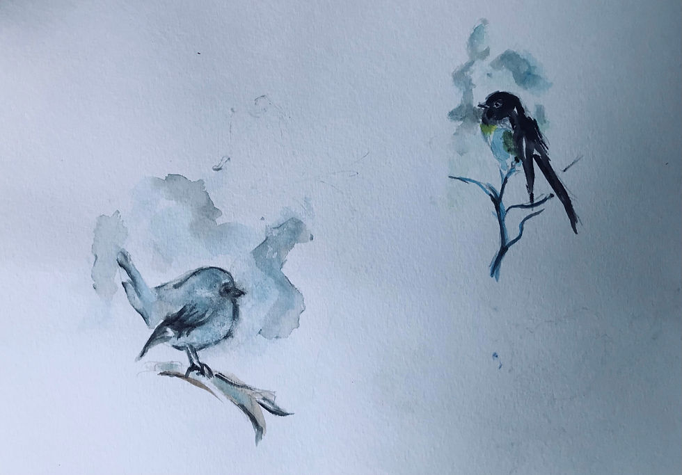 Gill B Two Birds