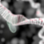 RNA-Seq Data Analysis (Online Hands-on Workshop) 