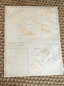 Antique French Bourgogne region hand colored land use maps backed with linen from Atlas L'Hospice des Malades
circa 1851