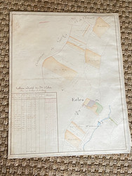HCA92