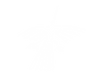 white_icon_transparent_background.png
