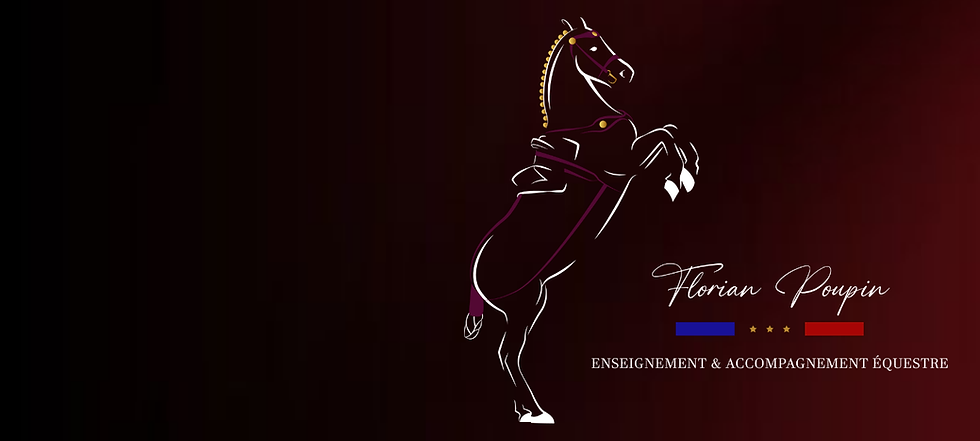Enseignement & accompagnement équestre | Florian Poupin