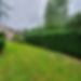 Hedge Trimming