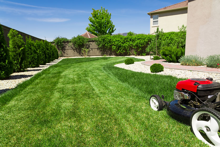 Lawn mower on green grass, backyard.jpg