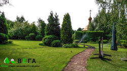 ландшафтный дизайн  ВЕГА Липецк благоустройство озеленение территории 201