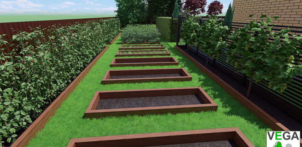 ландшафтный дизайн VEGA Вега Липецк благоустройство озеленение территории