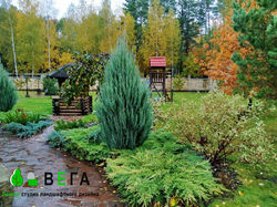 ландшафтный дизайн  ВЕГА Липецк благоустройство озеленение территории 218