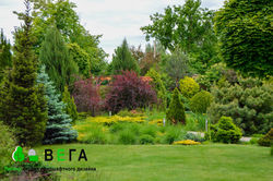 ландшафтный дизайн  ВЕГА Липецк благоустройство озеленение территории 204