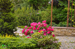 ландшафтный дизайн  ВЕГА Липецк благоустройство озеленение территории 055