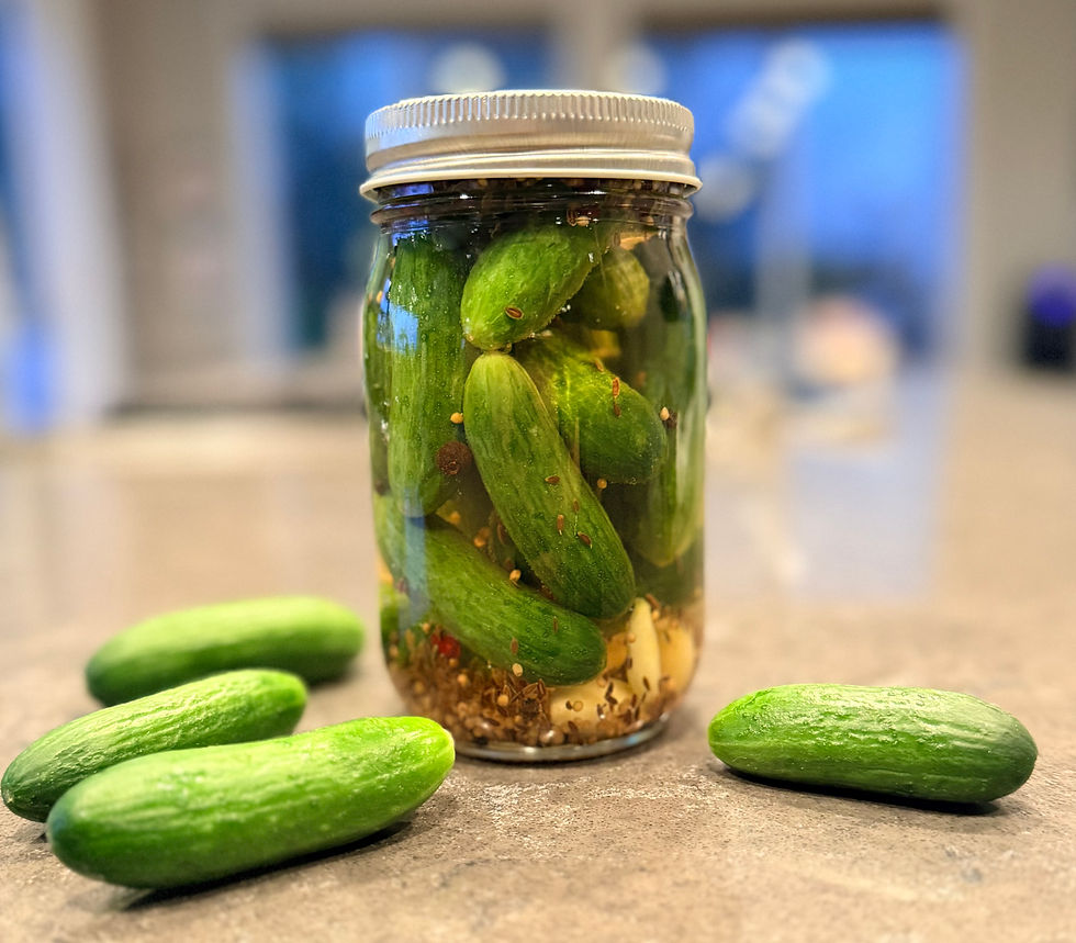 Homemade Pickles in a glass jar with pickling spices and fresh garlic with whole baby cucumbers on the countertop