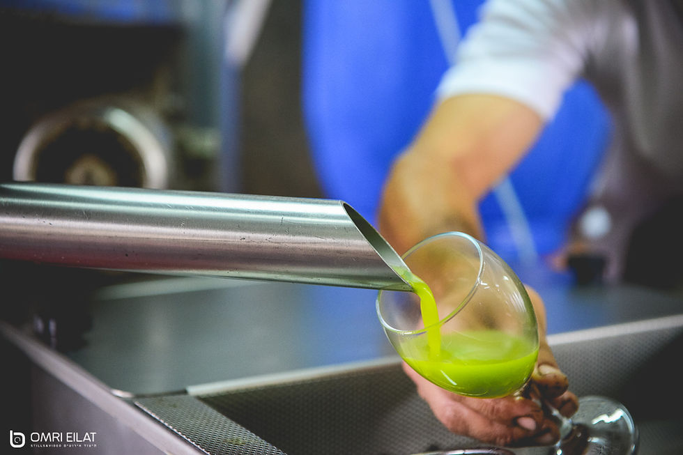 Thumbnail: Barnea Olive Oil