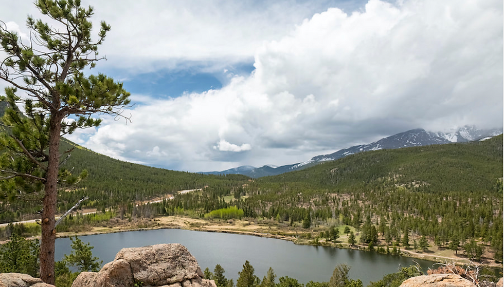 Mountain lake surrounded by pine forest and rocky hills under dramatic clouds, with snow-dusted peaks in the distance.
