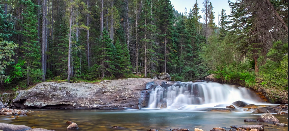 small waterfall flowing into a pool in river with pine trees in the back.