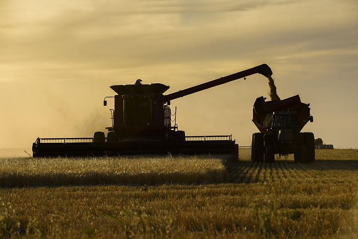 harvester-machine-harvesting-argentine-countryside-buenos-aires-province-argentina.jpg