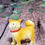 Thumbnail: Puppy Yellow - Akita