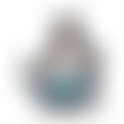 Dog jumping on people as a common behavior problem