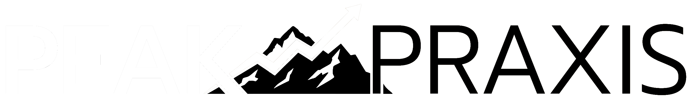 PP-MTLogoBW-HD-2.png