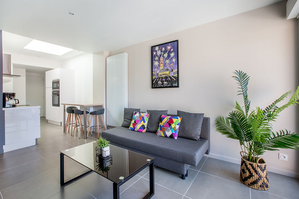 Appartement - salon