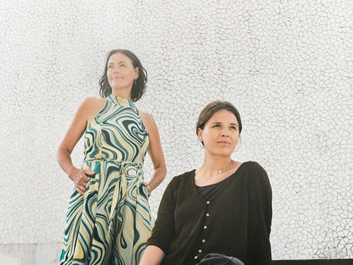 Błękit, który leczy. Lis Wessberg i metafizyka wydm