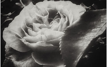 20170514_115643-02.jpeg