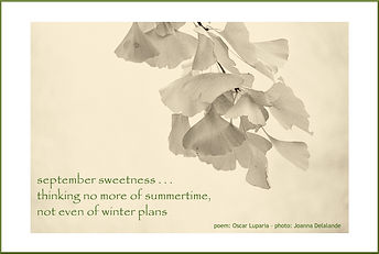 september sweetness.JPG