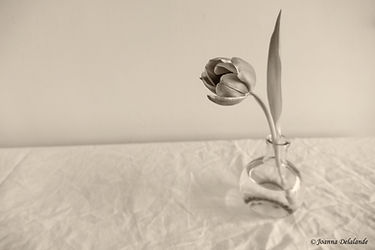 Reves_silencieux_5_web.jpg